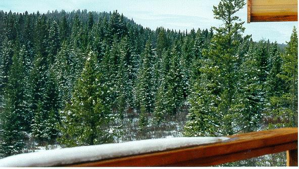 Balcony View